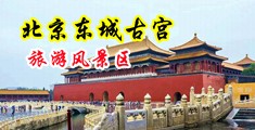 肏外国金发骚逼毛片中国北京-东城古宫旅游风景区